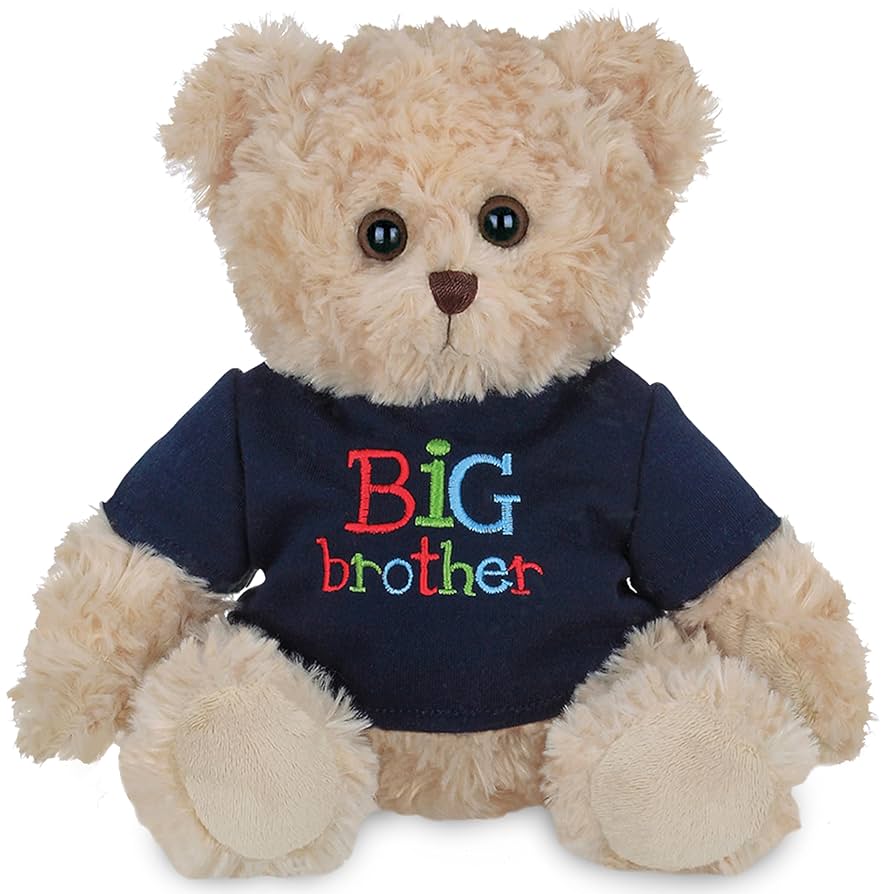 I'm a Big Brother Bear