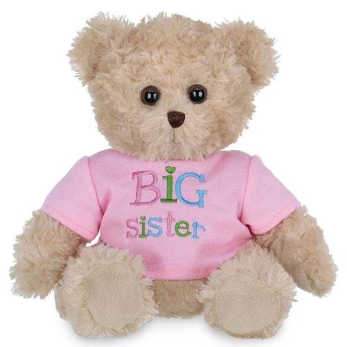 I'm a Big Sister Bear