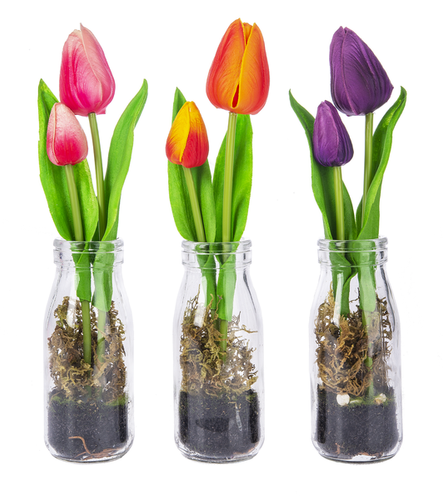 Tulips in Glass Bottle - Asst Colors